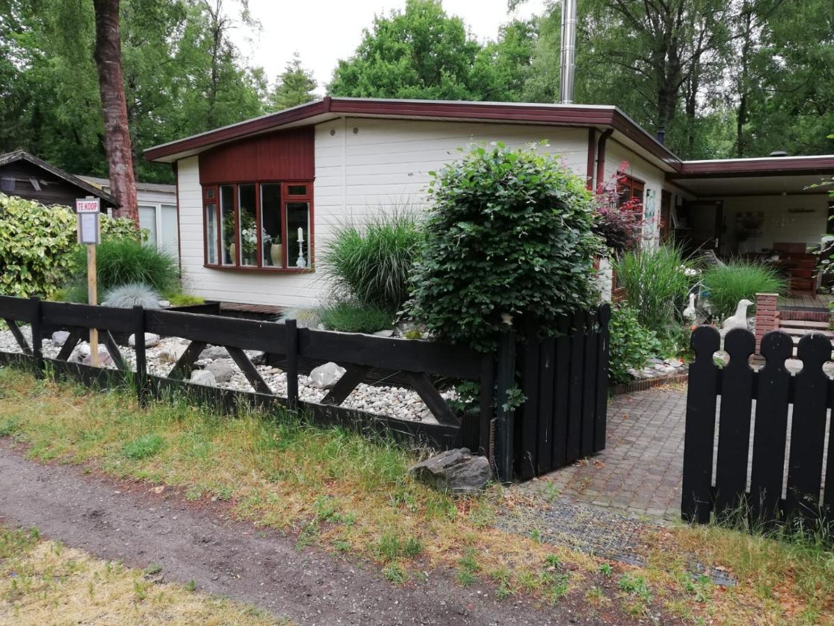 Sfeervol, Ruim En Luxe Chalet In Bosrijke Omgeving Villa Diessen Esterno foto